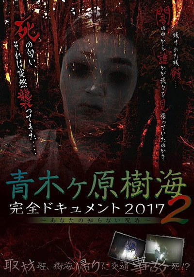 Póster de Aokigahara Jukai: Complete Document 2017 - The Curse You Don't Know 2