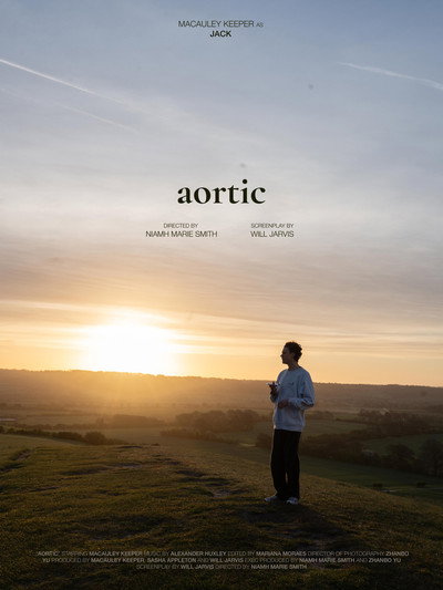 Póster de Aortic