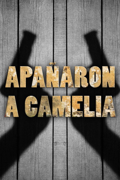 Póster de Apañaron a Camelia