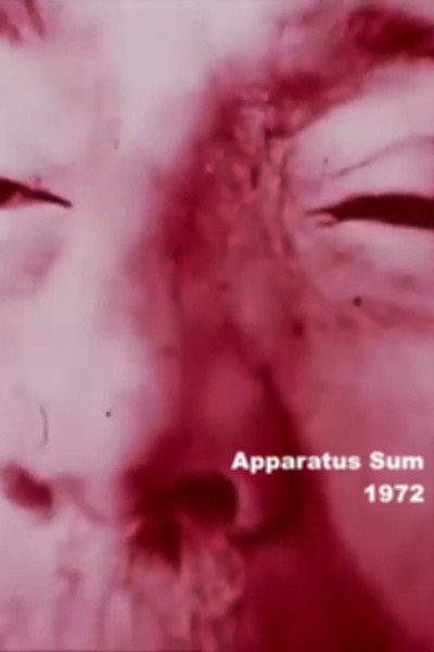 Póster de Apparatus Sum