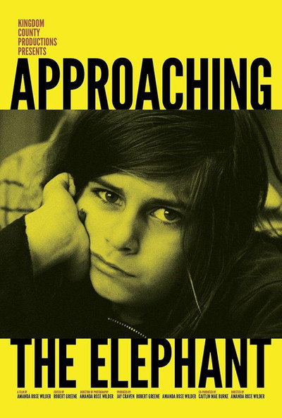Póster de Approaching the Elephant