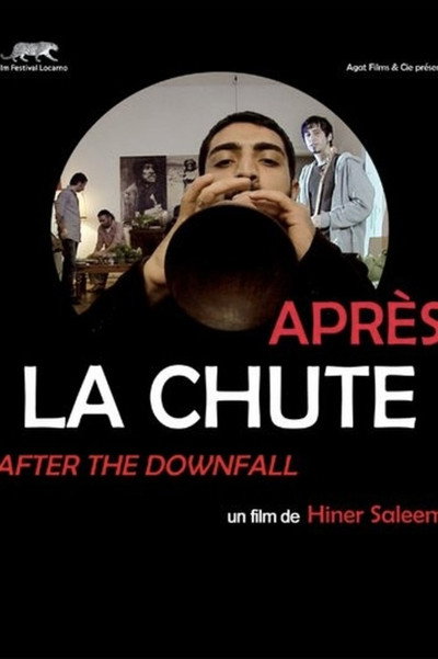 Póster de Après la chute