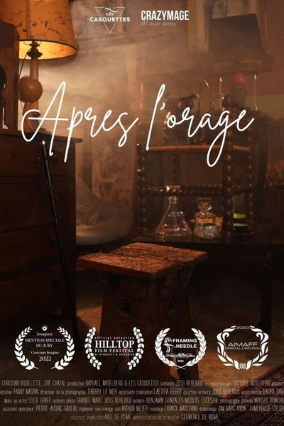 Póster de Après l'orage