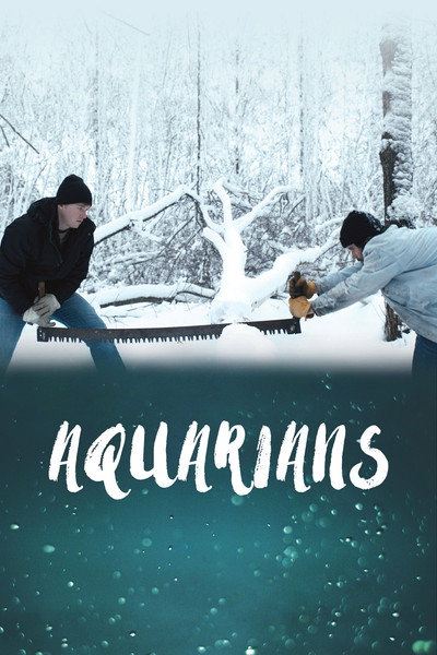 Póster de Aquarians