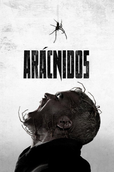 Póster de Arácnidos