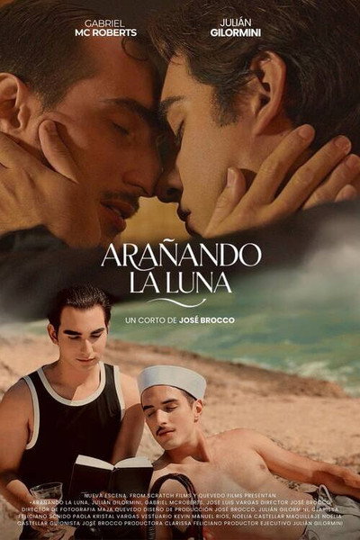 Póster de Arañando la Luna
