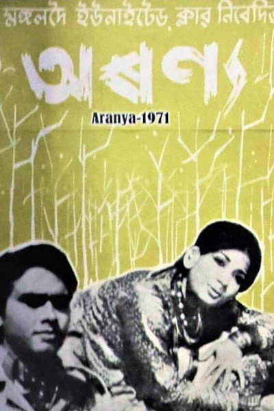Póster de Aranya