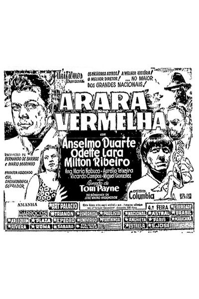 Póster de Arara Vermelha
