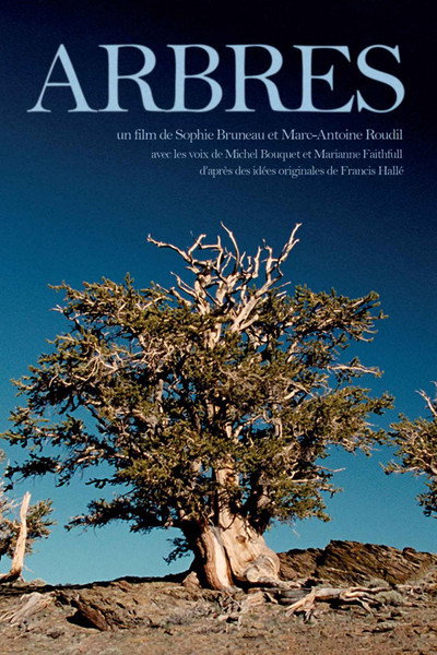 Póster de Arbres