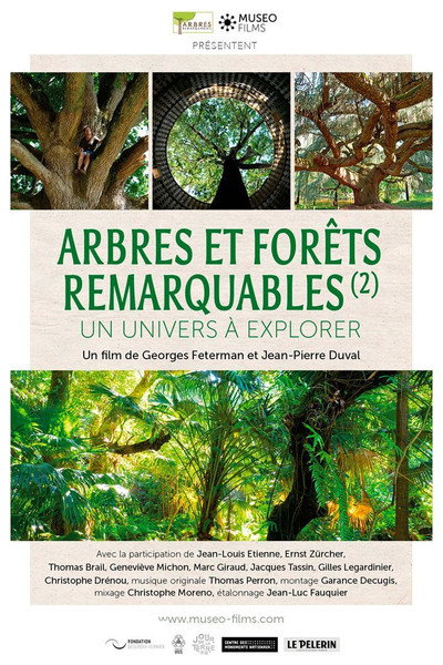 Póster de Arbres et forêts remarquables, un univers à explorer