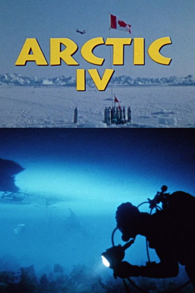 Póster de Arctic IV