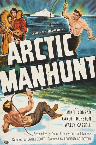 Póster de Arctic Manhunt