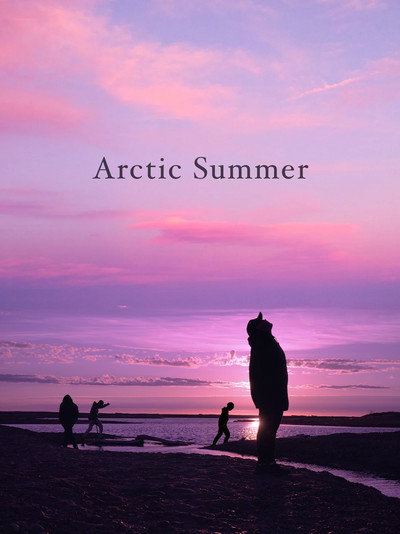Póster de Arctic Summer