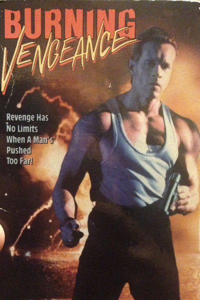 Póster de Ardiente venganza
