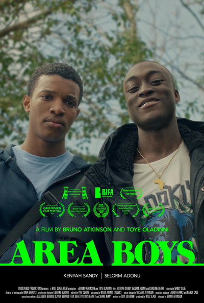 Póster de Area Boys