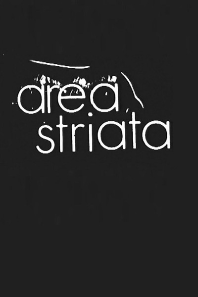 Póster de Area Striata