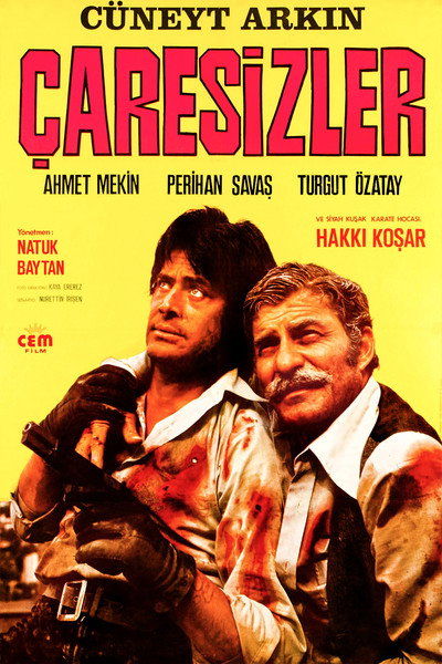 Póster de Çaresizler