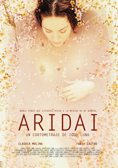 Póster de Aridai