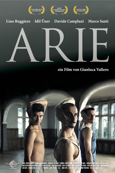 Póster de Arie