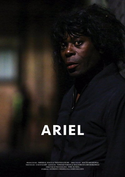 Póster de Ariel