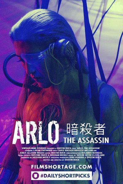 Póster de Arlo: The Assassin