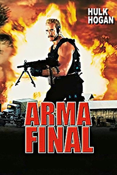 Póster de Arma final