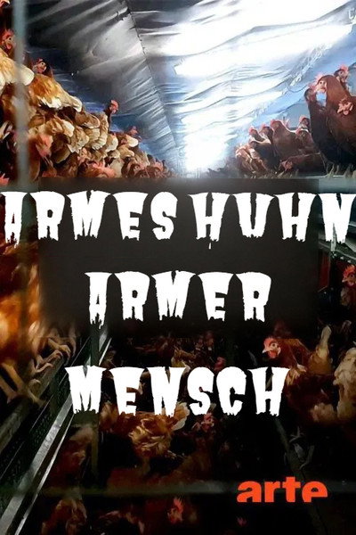 Póster de Armes Huhn - armer Mensch: Vom Frühstücksei zur Wirtschaftsflucht