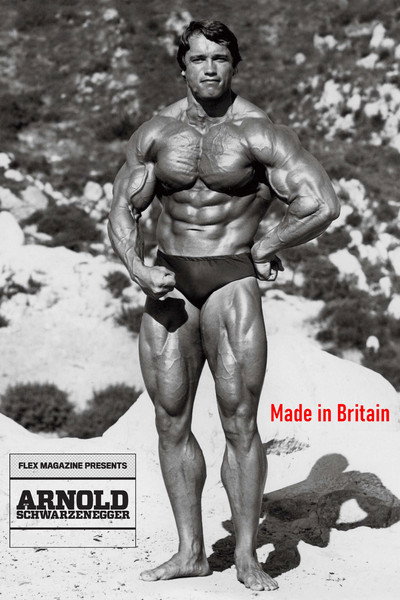Póster de Arnold Schwarzenegger: Made in Britain