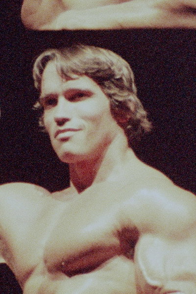 Póster de Arnold Schwarzenegger - The Art of Bodybuilding