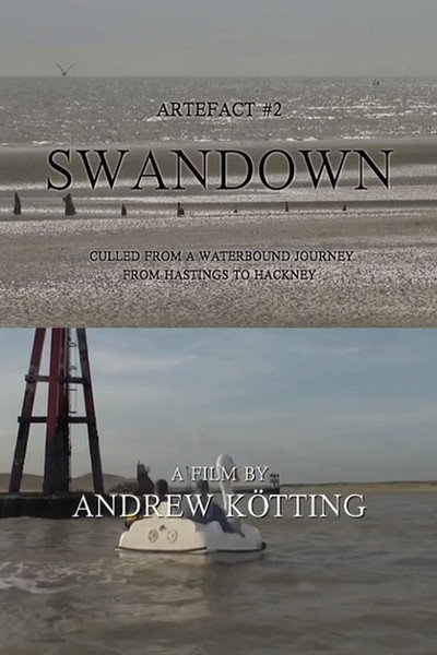 Póster de Artefact #2 Swandown