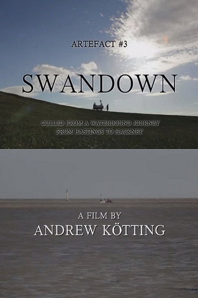 Póster de Artefact #3 Swandown