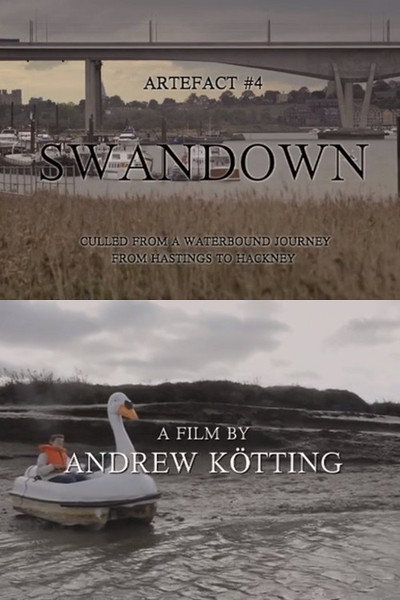 Póster de Artefact #4 Swandown