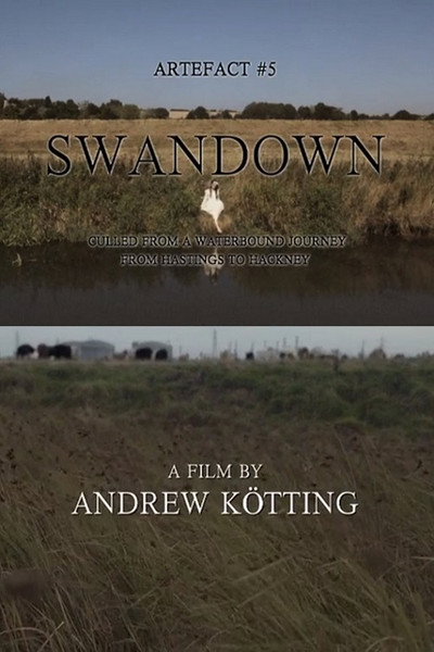 Póster de Artefact #5 Swandown