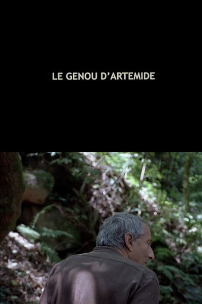 Póster de Artemis' Knee