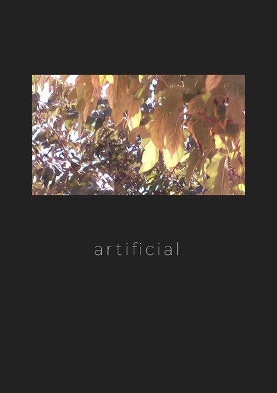Póster de Artificial