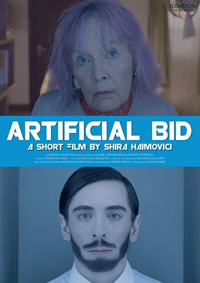 Póster de Artificial Bid