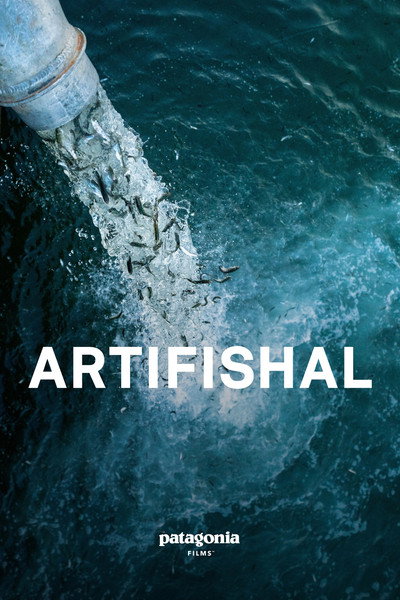 Póster de Artifishal
