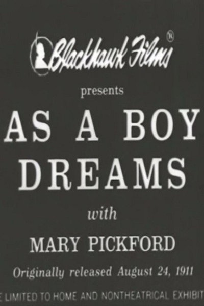 Póster de As a Boy Dreams