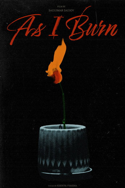 Póster de As I Burn