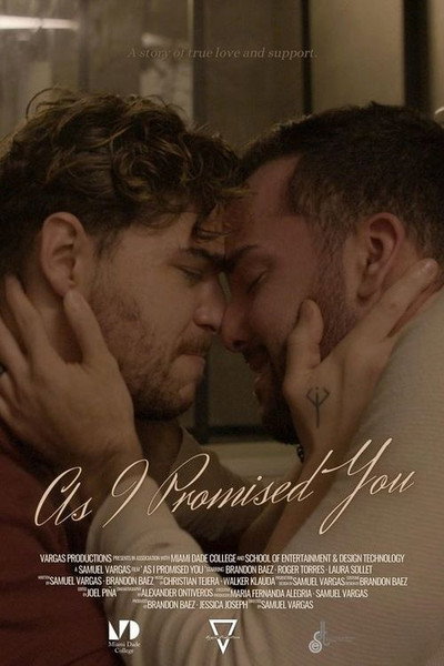 Póster de As I Promised You