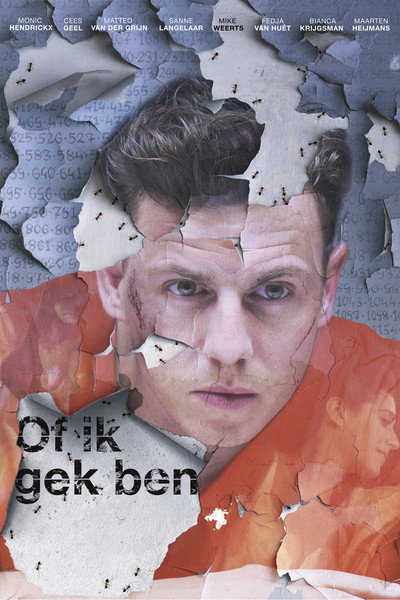 Póster de As If I'm Crazy