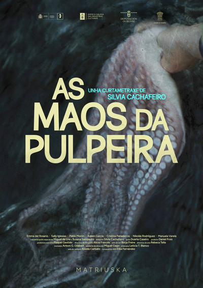 Póster de As Maos da Pulpeira