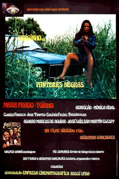 Póster de As Panteras Negras do Sexo