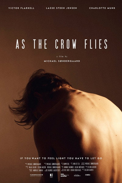 Póster de As the Crow Flies