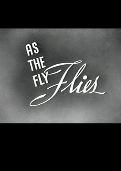 Póster de As the Fly Flies
