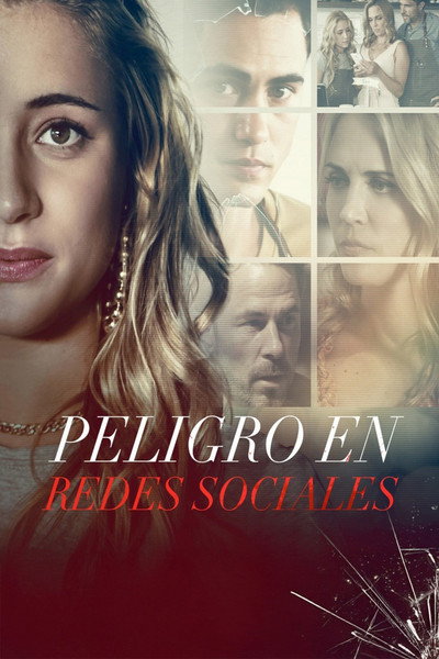 Póster de Asesino en la red