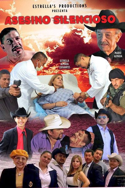 Póster de Asesino Silencioso