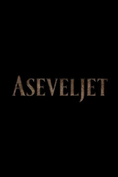 Póster de Aseveljet