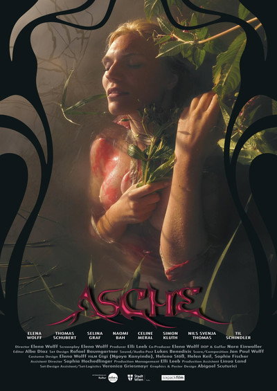 Póster de Ash