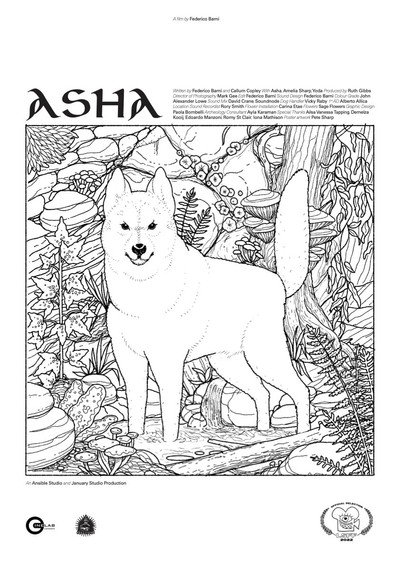 Póster de Asha
